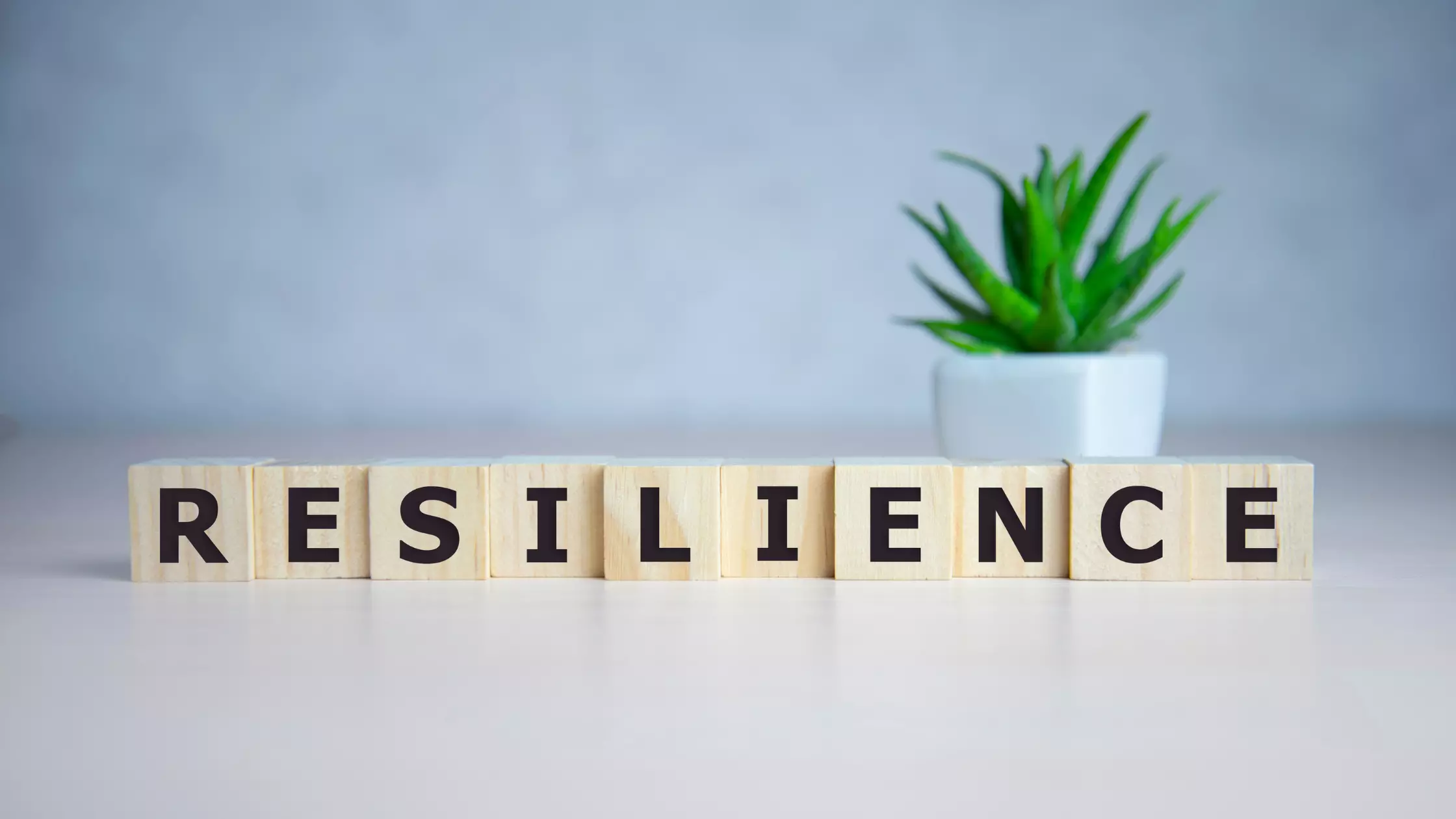Resilienz: Die Kraft, Krisen zu meistern und gestärkt daraus hervorzugehen